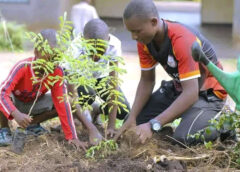 Burundi: Deforestation as a Growing Environmental Threat